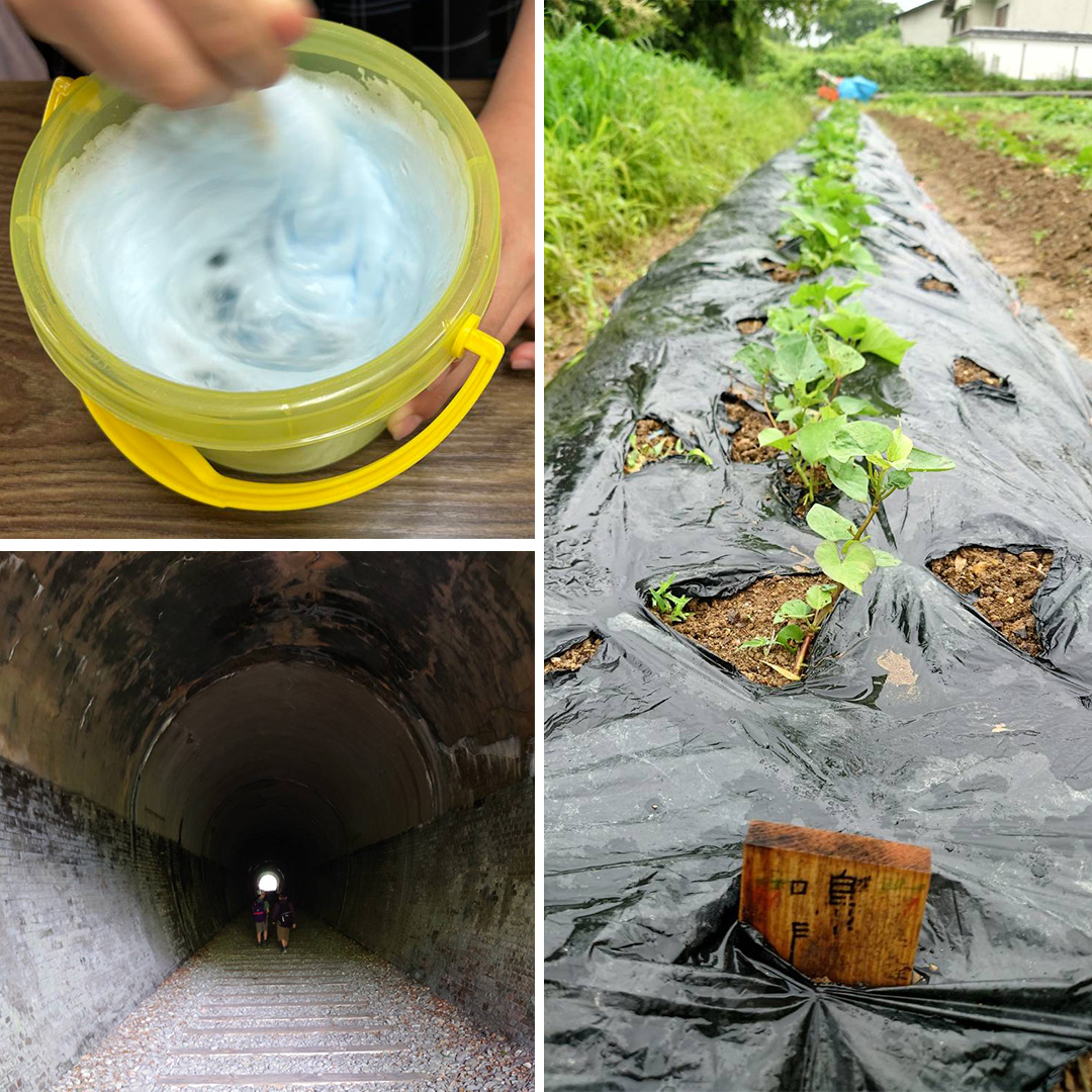 写真：ふわふわスライムを作る様子。旧福知山線跡のトンネル探検。育てているサツマイモ。